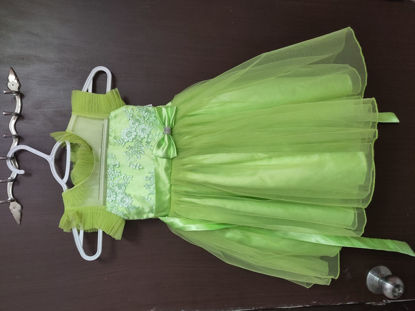 Picture of Light green partywear frock 2-3y