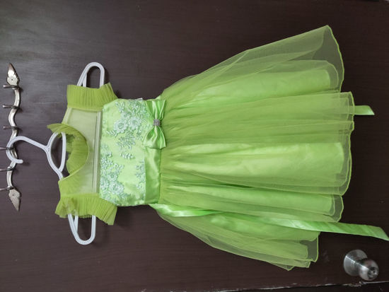 Picture of Light green partywear frock 2-3y
