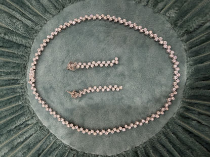 Picture of Designer Necklace set with earrings