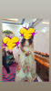 Picture of Pastel Mint Floral Lehenga