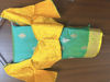Picture of Pure Banarasi saree