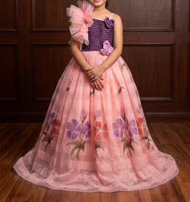 Picture of organza long frock 4-5y
