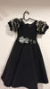 Picture of Partywear Frock 2-4y