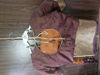 Picture of Rust orange and brown Saree
