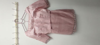 Picture of Pure Organza Tissue Saree