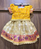 Picture of Tissue lehenga with rawsilk blouse 1Y