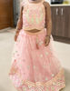 Picture of Party wear Lehenga 1y