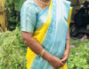 Picture of Semi Banaras saree